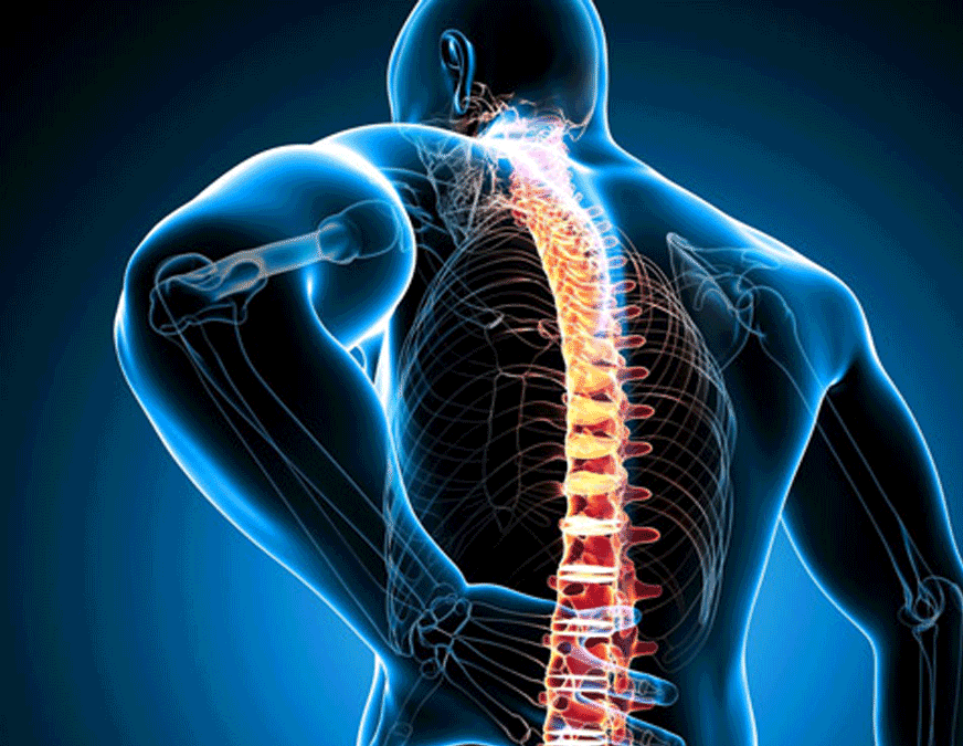 Traumatologie orthopédie